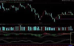 瑞士队最新消息 瑞士队最新消息
